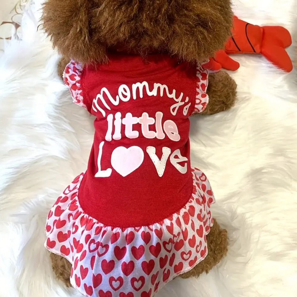 Small Red Heart Dog Dress